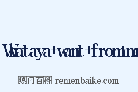 Whataya want from me是什么意思的图片